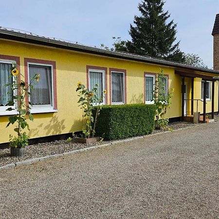 Ferienwohnungen "Zur Schamper Muehle" Gotthun Eksteriør billede